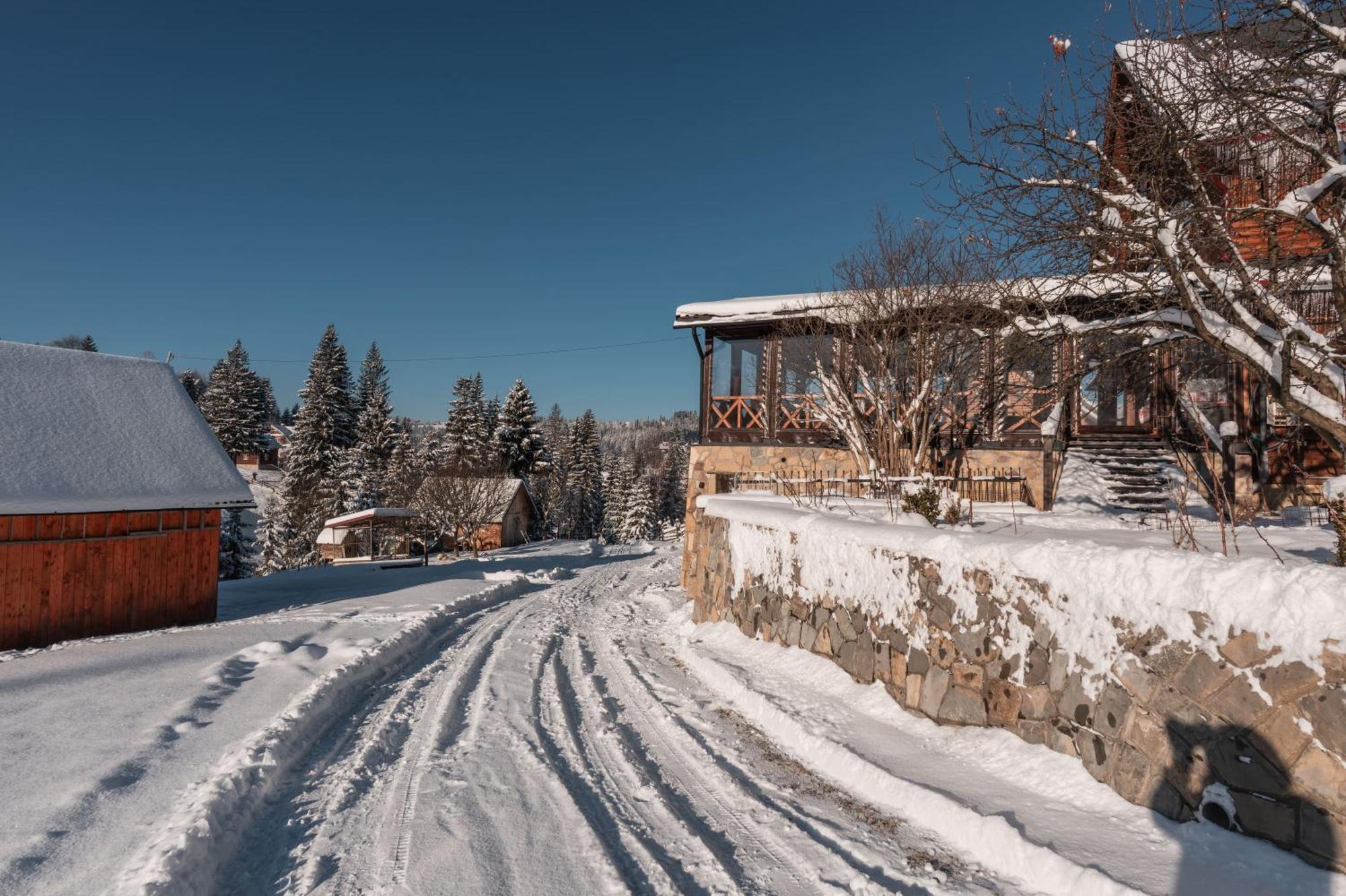 Hotel Гостьовий Дім "У Ані" Yablunytsya Exterior foto